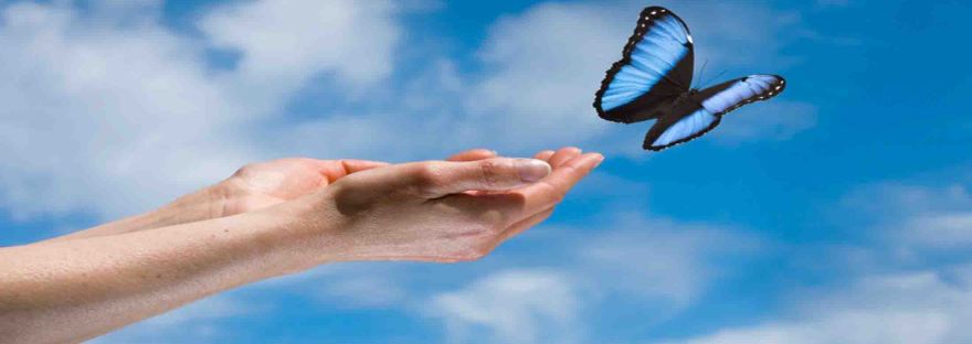 Les 4 Accords Toltèques